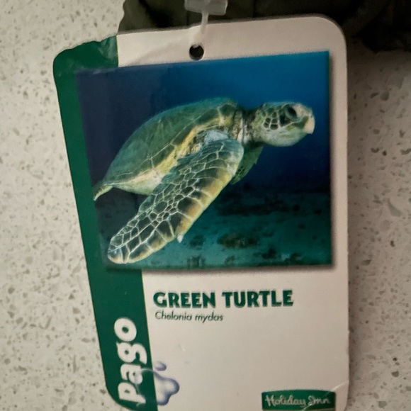 Pago Green Turtle - Picture 2 of 4